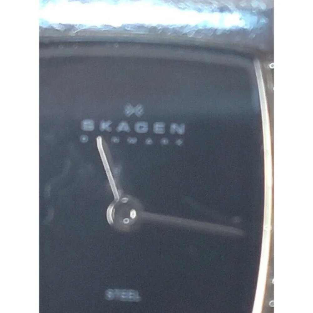 Skagen Platinum Plated Black Dial 19mm Women's  Bracelet Watch‎